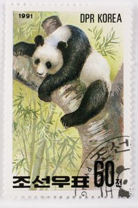 Pul/Kuzey Kore/Ailuropoda melanoleuca/Grand panda/Dev Panda
