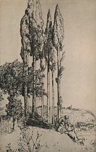 Siena Yakınlarındaki Selvi Ağaçları, 1903