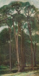 Ağaçların İncelenmesi, c1900 1903-1904