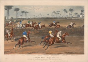 Dörtlü setten biri: Leamington Grand Steeple Chase ... 1837. Resim 2. Scripton'da Bay Christian ... by Charles Hunt