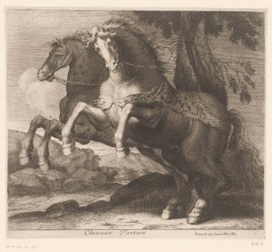 at yetiştirmek Chevaux Tartar (nesne üzerindeki başlık) Hayvan serisi (dizi adı)