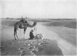 Çölde Gün Batımı Duası, c1913