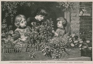 Londra yoksullarının eğlenceleri: Çocuklar için pencere bahçeciliği (gravür) by Charles J. Staniland