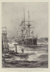 Deniz Manevraları, Yedek Filo Operasyonları, HMS Alexandra, Amiral Domvile Bayrak Gemisi, Tor Körfezi