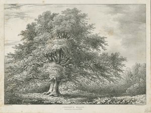 Lichfield - ["Dr. Johnson"lar"] Söğüt Ağacı: litografi, nd [1789-1850]