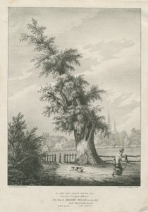 Lichfield-