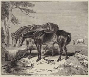 Atlar, William Wigram'ın Mülkiyeti, Esquire