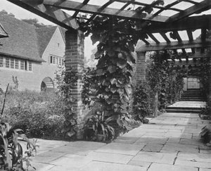 Pergola