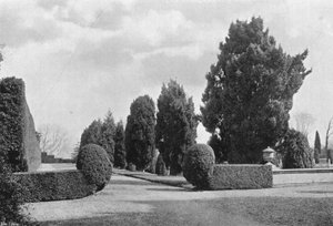 Privy Garden