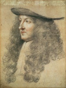 Kral Louis XIV