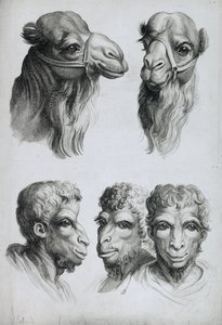 Le Brun