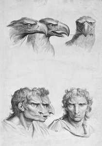 Bir Kartalın Başı ile Bir İnsan Arasındaki Benzerlikler, Le Brun