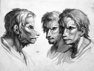 Kurt adamın (kurt adam) üç yüzü - Le brun tarafından by Charles Le Brun