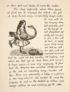 Alice, Devekuşu