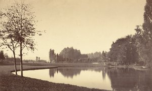 Bois de Boulogne, 1858. by Charles Marville