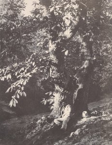 Bir kestane ağacının dibinde yatan adam, 1850-53. by Charles Marville