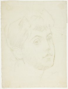 Genç Bir Kadının Portre Başkanı by Charles Maurin