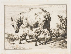 İki Kuzulu Koyun by Charles Meryon