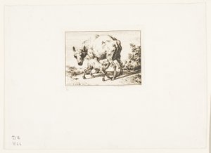 İki Kuzulu Koyun by Charles Meryon