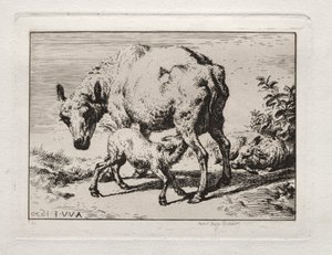 İki Kuzulu Koyun, 1850. by Charles Meryon
