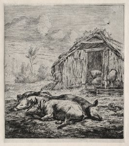Bir Arpacık Önünde Yatan Üç Domuz by Charles Meryon