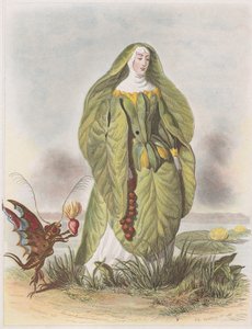 Nilüfer, Les Fleurs Animées