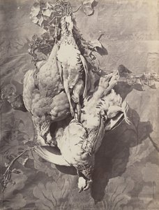 [Oyun Kuşlarıyla Natürmort], 1859. by Charles Nègre
