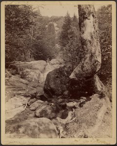  by Charles P. Hibbard