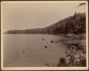  by Charles P. Hibbard