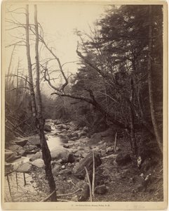 by Charles P. Hibbard