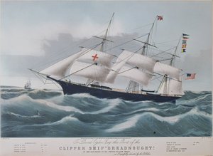 Kaktüs eklemi, dikenli incir ağacının çeşidi - S.Watts tarafından oyulmuş plaka, Sarah Anne Drake (1803-1857), Sydenham Edwards Botanik Sicilinden (1768-1819), İngiltereAmerikan kesme gemisi 