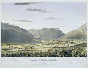 Saltillo