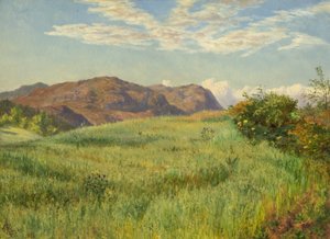 Bir Yayla Yulaf Tarlası