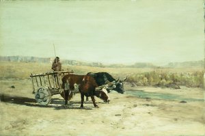 New Mexico