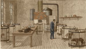 Louis Pasteur