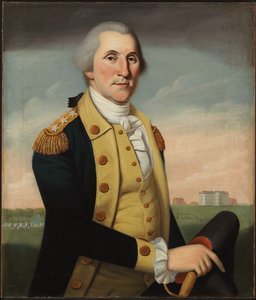George Washington, Princeton