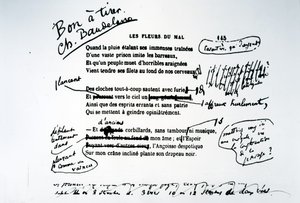 Les Fleurs du Mal