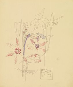 Ixia#39;lar by Charles Rennie Mackintosh