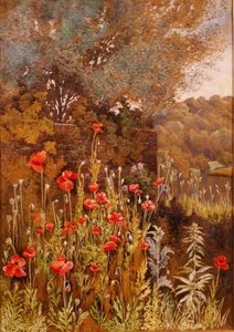 Nehir kıyısında haşhaş by Charles Robertson