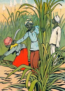 Şeker Kamışları Arasında İş Başında, 1912 by Charles Robinson