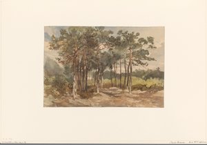Driebergen yakınlarındaki ormanda ağaç grubu by Charles Rochussen
