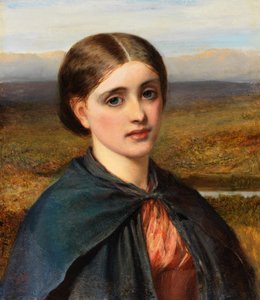 İrlandalı Bir Kafanın İncelenmesi, 1866