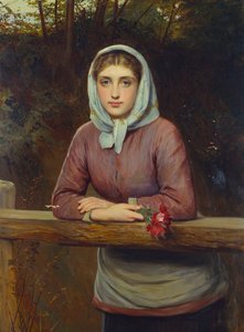 Toplantı, 1881