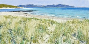 Sahil Çimenleri, Berneray, 2011 (tuval üzerine yağlıboya) by Charles Simpson