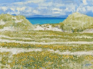 Glimpse of Harris, 2014 (tuval üzerine yağlıboya) by Charles Simpson