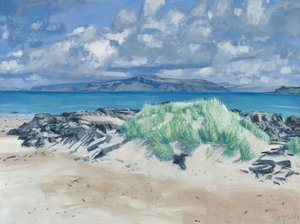 Kayalar ve Çimenler, Iona, 2013 (tuval üzerine yağlıboya)