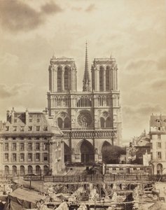 Paris'in Notre Dame'ı