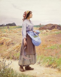 taze Gleanings,