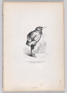 Yaşlı, kırılmış, bitkin, tuhaf, yine de iyi, yine de kendini adamış ve mizacına göre evcil..., ca. 1837-47. by Charles Tamisier