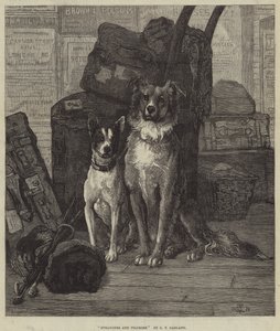 Yabancılar ve Hacılar by Charles Trevor Garland